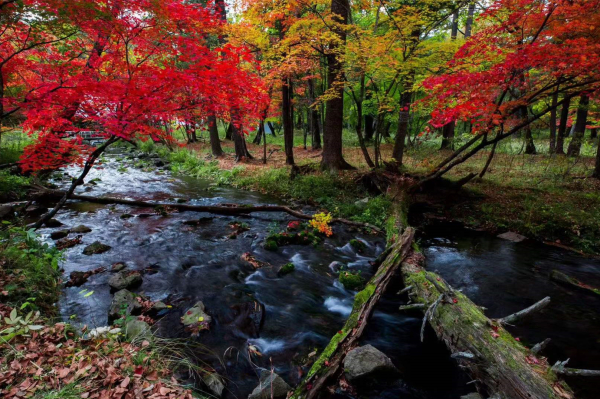 秋色醉人.jpg 秋色醉人.jpg