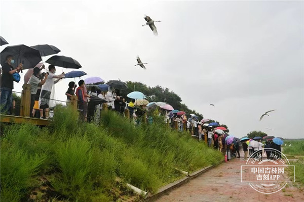 图片6.jpg 图片6.jpg