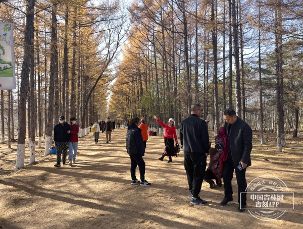 7E33C547-543D-4FFC-A9C0-1E5A3CD3937B.jpeg 7E33C547-543D-4FFC-A9C0-1E5A3CD3937B.jpeg