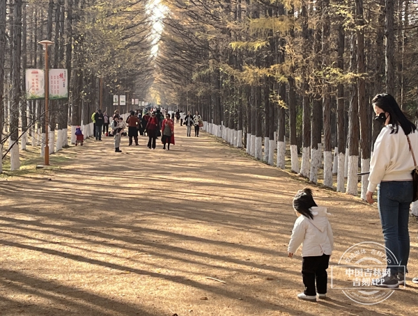 BCD13B3B-5476-4376-8275-6C26F1062105.jpeg BCD13B3B-5476-4376-8275-6C26F1062105.jpeg