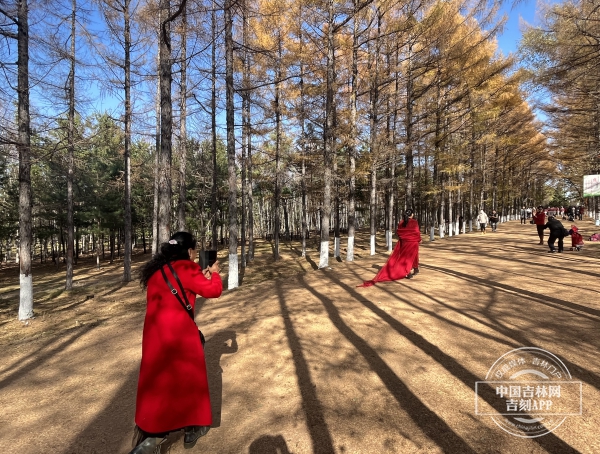 57FEFAA6-83C5-4A1F-B387-BE33981C7BAF.jpeg 57FEFAA6-83C5-4A1F-B387-BE33981C7BAF.jpeg