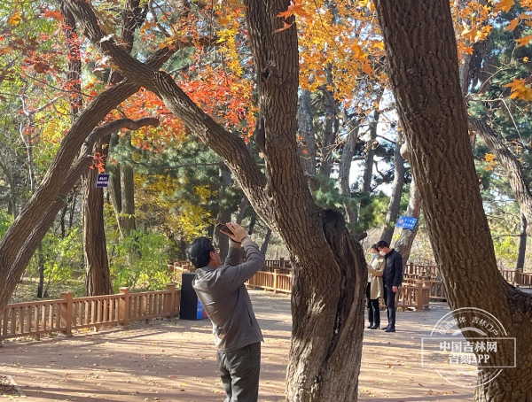 8AB82235-9ABB-4547-9568-138081DF7A1F.jpeg 8AB82235-9ABB-4547-9568-138081DF7A1F.jpeg