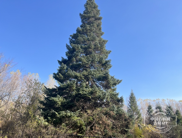 EDE173AB-B1E3-4499-AD74-FF993A5472E2.jpeg EDE173AB-B1E3-4499-AD74-FF993A5472E2.jpeg