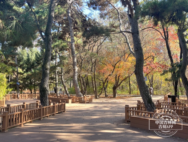 E36A971A-D84B-48B6-9635-2005445D09D4.jpeg E36A971A-D84B-48B6-9635-2005445D09D4.jpeg