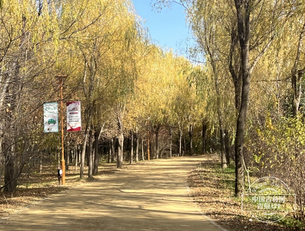 55208519-FC14-4CEC-9904-9F88AFCCCBD0.jpeg 55208519-FC14-4CEC-9904-9F88AFCCCBD0.jpeg