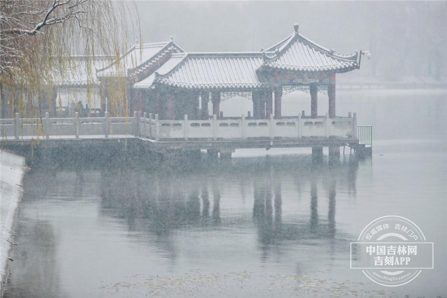 W020221112438746445979.jpg W020221112438746445979.jpg