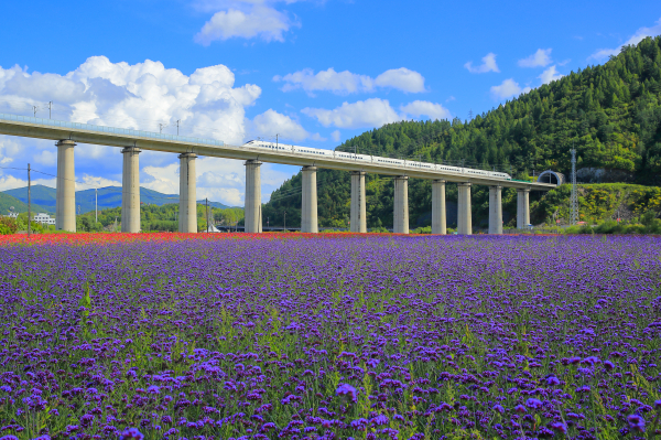 安图2.jpeg 安图2.jpeg