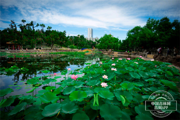 W020220831488315599204.jpg W020220831488315599204.jpg