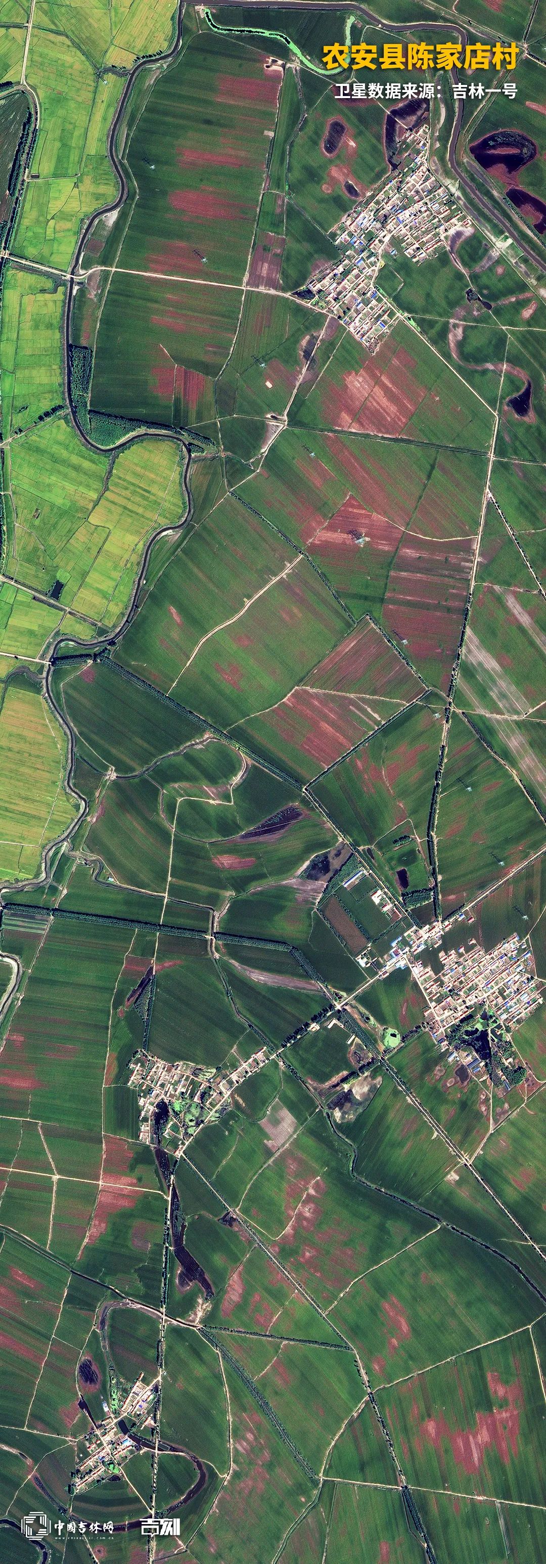 农安.jpg 农安.jpg