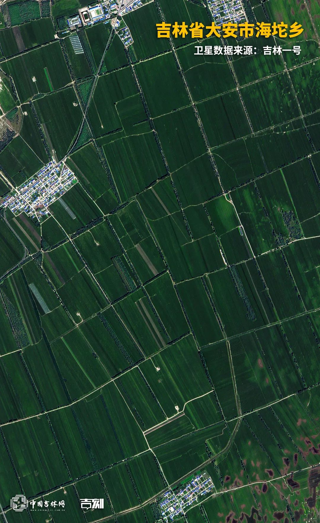 大安.jpg 大安.jpg