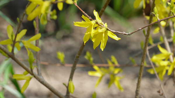 图虫创意 图虫创意