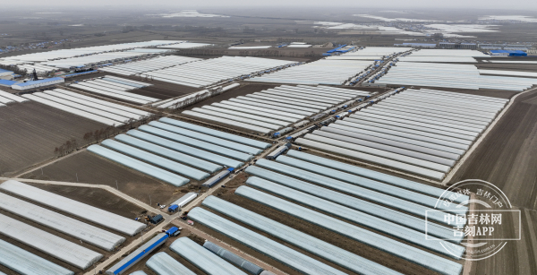 八号镇北沟村2.jpg 八号镇北沟村2.jpg