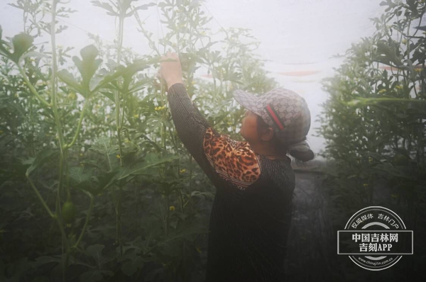 八号镇北沟村.jpg 八号镇北沟村.jpg