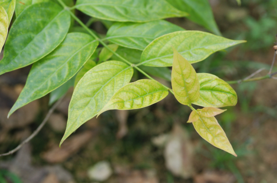 VCG11398644183.jpg VCG11398644183.jpg