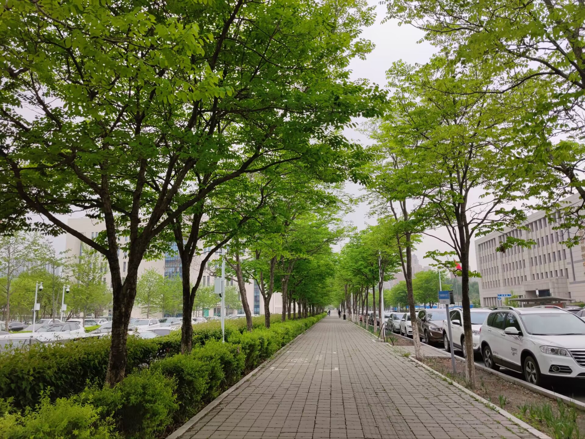 QQ图片20230517152550.jpg QQ图片20230517152550.jpg