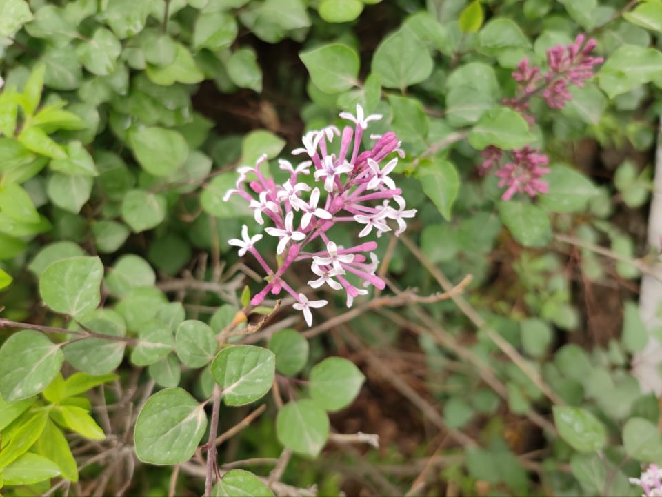 QQ图片20230517152557.jpg QQ图片20230517152557.jpg