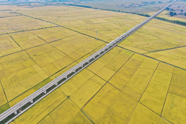 高铁列车从吉林省公主岭市沃野间驶过(2021年9月19日摄,无人机照片)。新华社记者 张楠 摄.jpg 高铁列车从吉林省公主岭市沃野间驶过(2021年9月19日摄,无人机照片)。新华社记者 张楠 摄.jpg