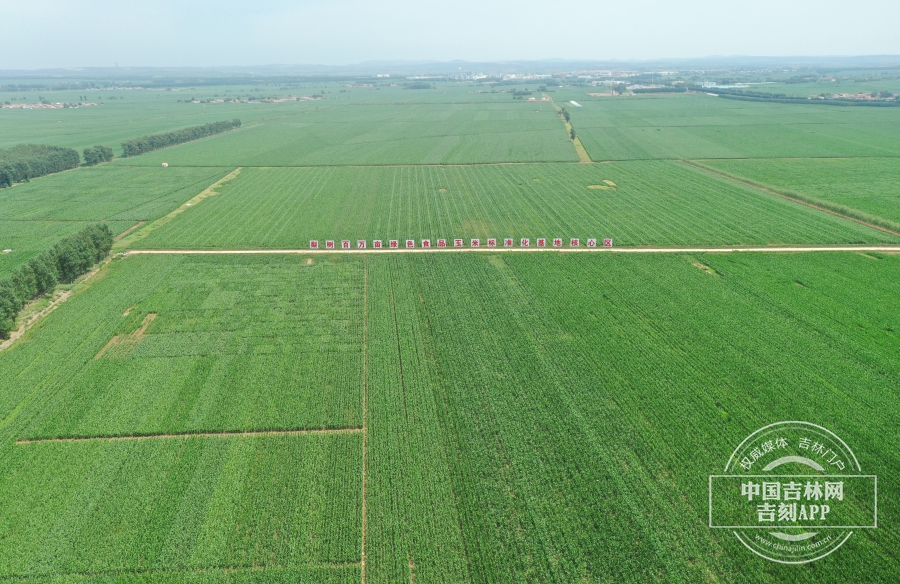 梨树百万亩绿色食品玉米标准化基地核心区 (4).JPG