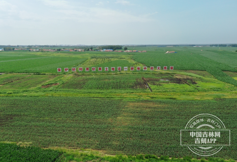 梨树百万亩绿色食品玉米标准化基地核心区 (2).JPG