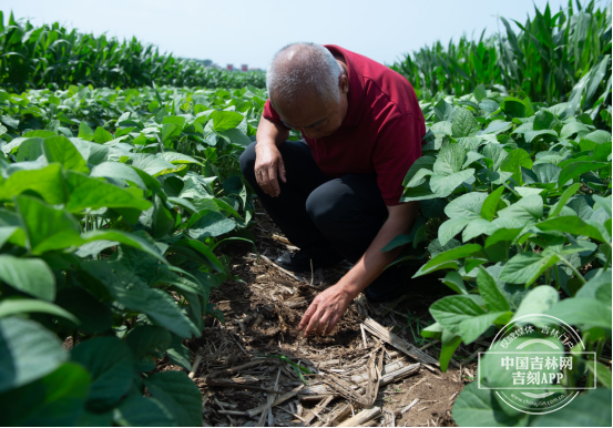 3IEQTTH)6V_T~0NM37YMHI1.png 3IEQTTH)6V_T~0NM37YMHI1.png