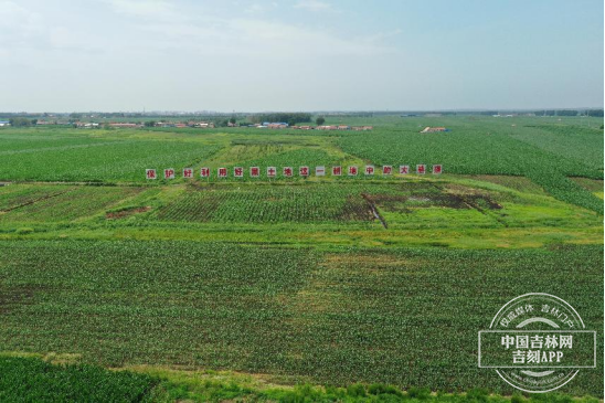 W$YGL)9JY@HN@5W96UFRX}0.png W$YGL)9JY@HN@5W96UFRX}0.png