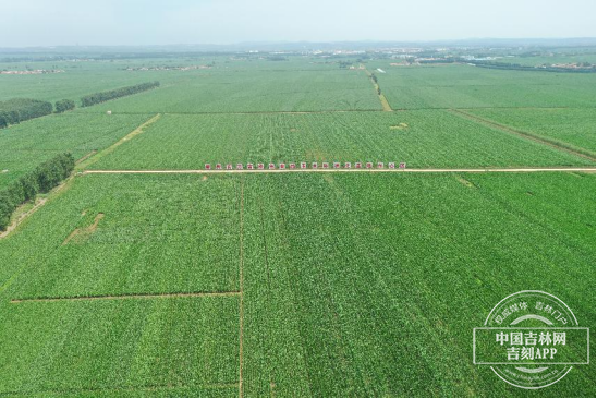 $PLJ3F9D4HPH1N6_[6Q6OOR.png $PLJ3F9D4HPH1N6_[6Q6OOR.png