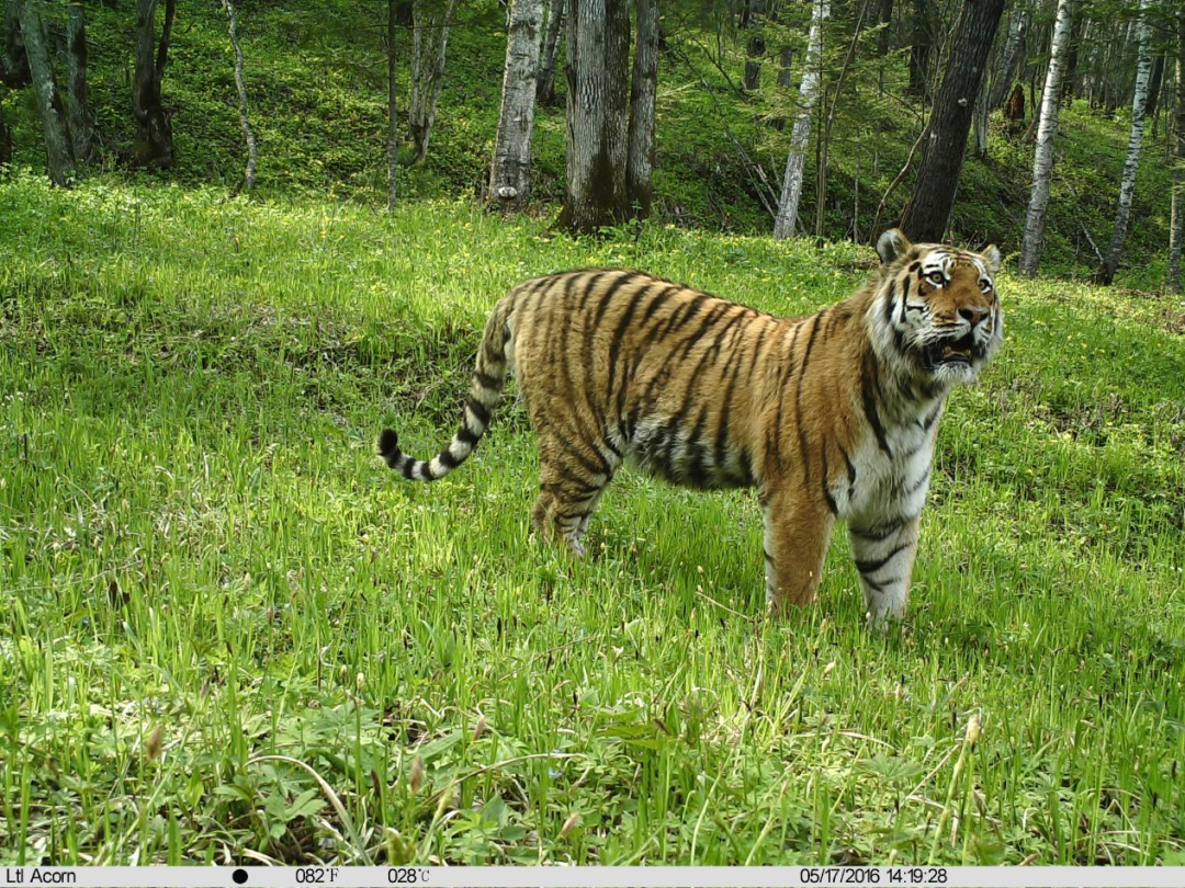 送北湖.png 送北湖.png