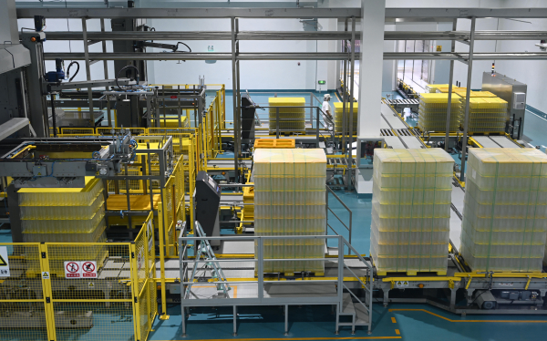 _GUO0926.jpg _GUO0926.jpg