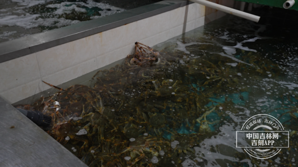 8`S$XUTLWII7)L4(B{PA~_L.png 8`S$XUTLWII7)L4(B{PA~_L.png