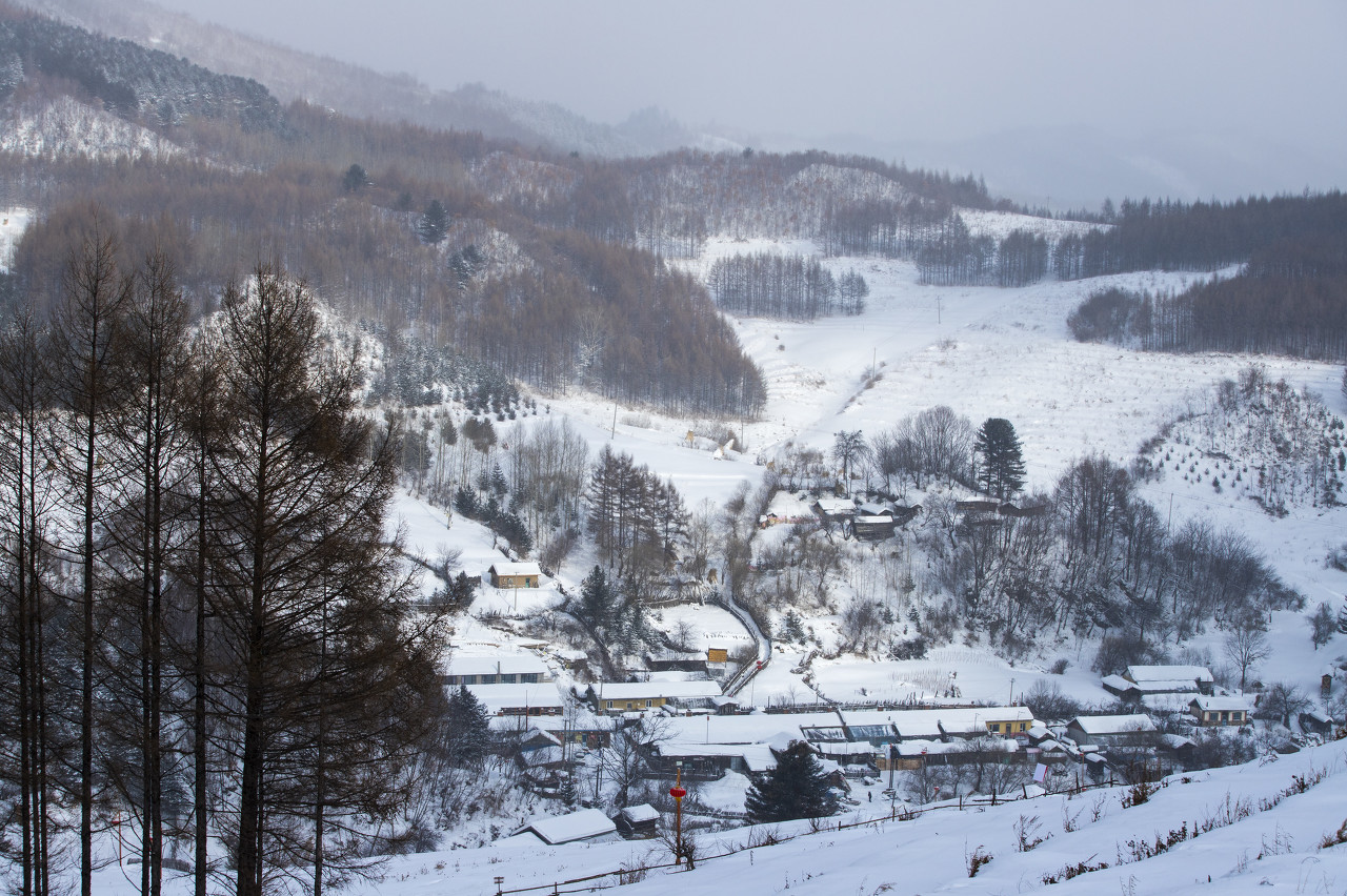 图虫创意-445736336020471813.jpeg 图虫创意-445736336020471813.jpeg