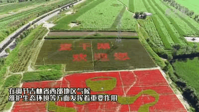 查干湖 新华社.gif