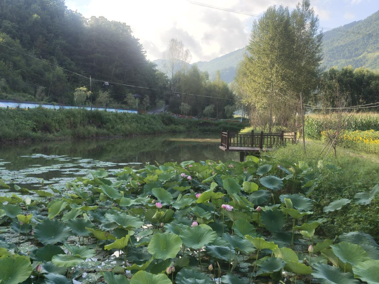 图片 7.png 图片 7.png