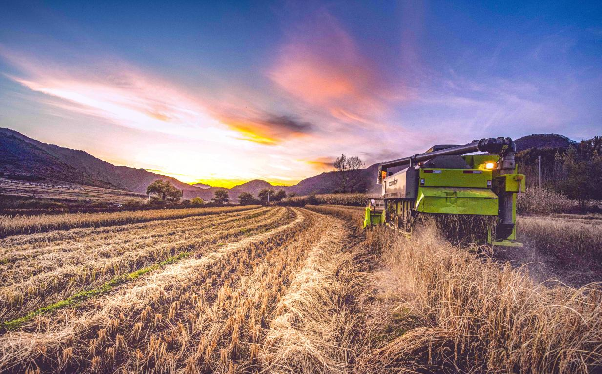 图片 9.png 图片 9.png