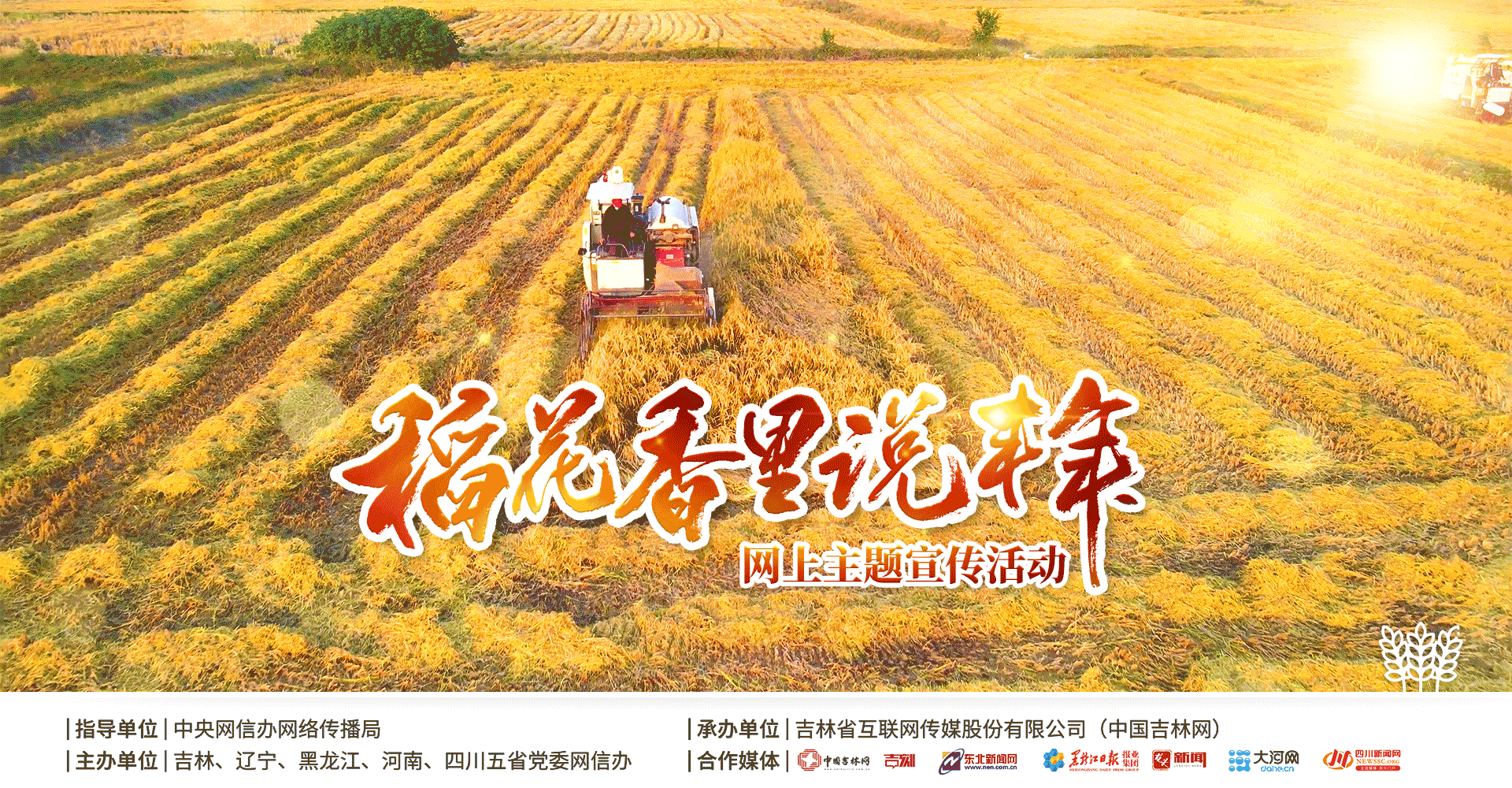 稻花香里说丰年|直播预告:凝听希望野外上的鹿泉章