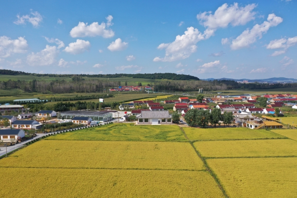 梅河口市小杨满族朝鲜族乡 梅河口市小杨满族朝鲜族乡