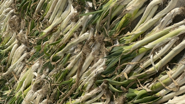 微信图片_20231011141352.jpg 微信图片_20231011141352.jpg