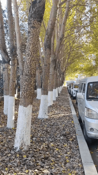 长春 太原街.gif 长春 太原街.gif