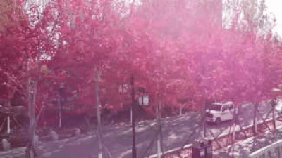 四平市·南北河沿岸.gif 四平市·南北河沿岸.gif