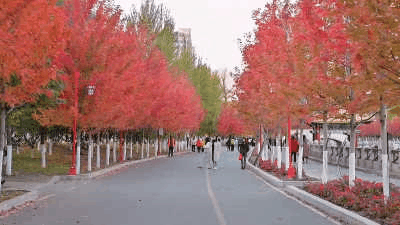 四平市·南北河沿岸.gif 四平市·南北河沿岸.gif