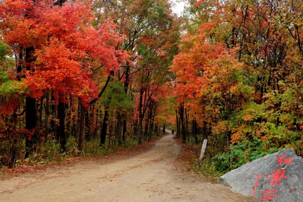 蛟河红叶谷 吉林市站提供.jpg 蛟河红叶谷 吉林市站提供.jpg
