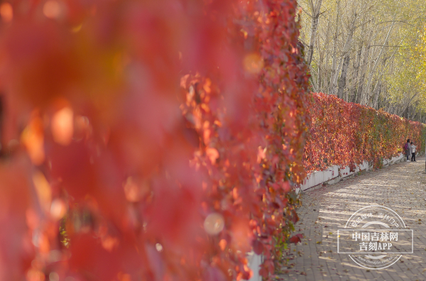 长春雕塑公园.jpg 长春雕塑公园.jpg