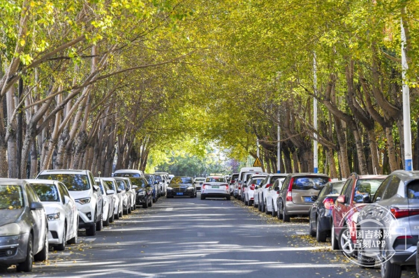 长春 太原街.jpg 长春 太原街.jpg