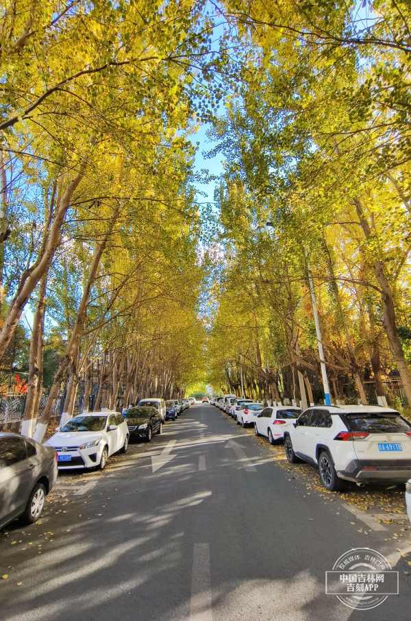 长春 太原街.jpg 长春 太原街.jpg