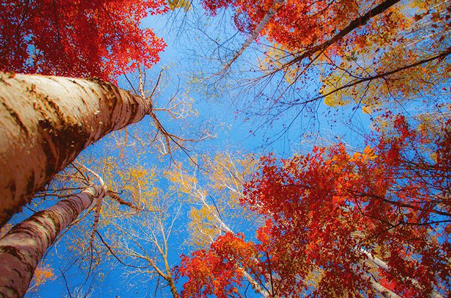 QQ截图20231020131120.jpg QQ截图20231020131120.jpg