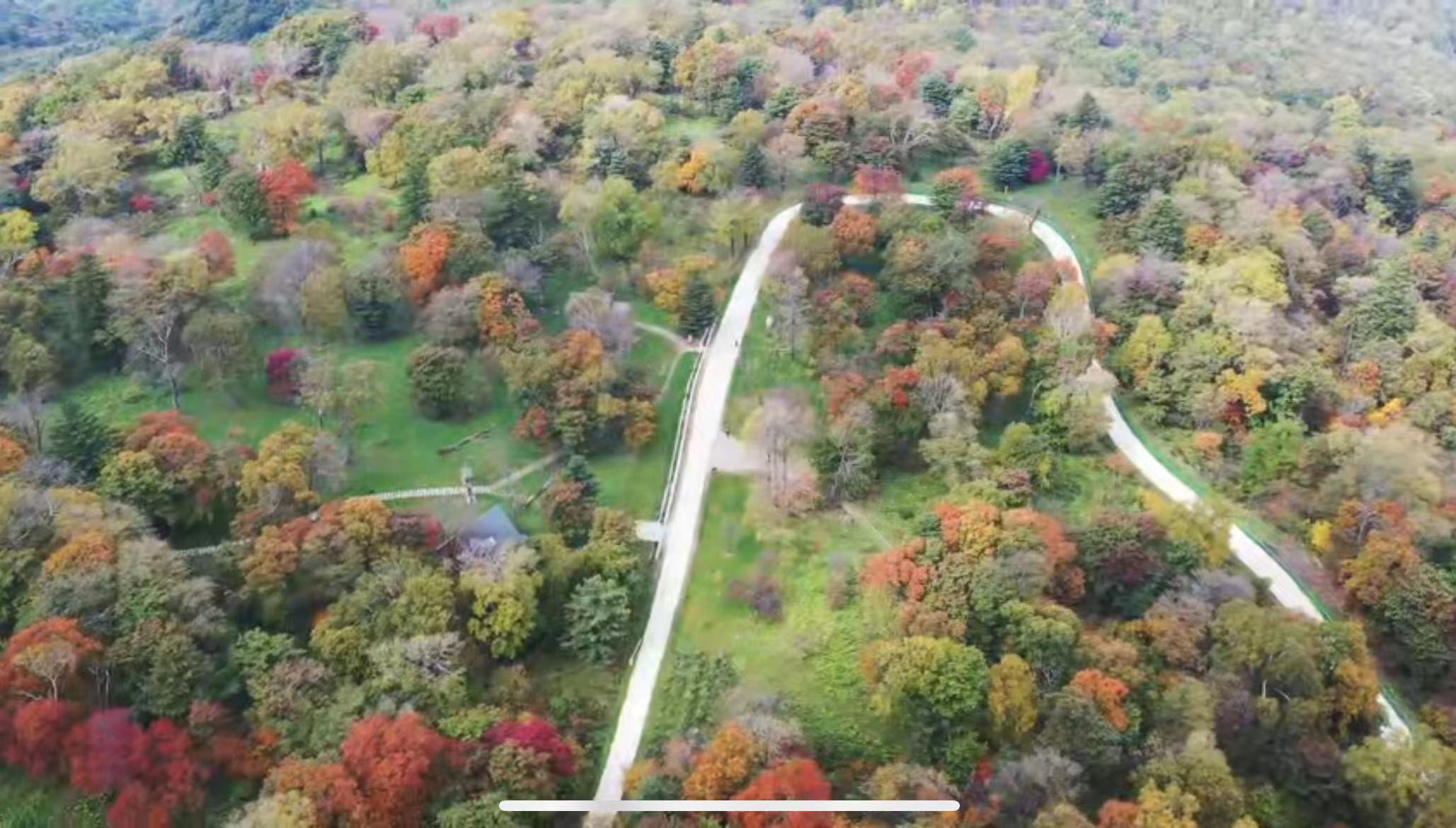 微信图片_20231020134937.jpg 微信图片_20231020134937.jpg