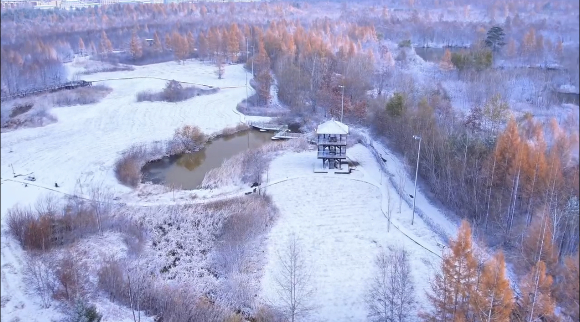 11C3E3D4-8626-4BB0-AEC2-7B438487250D.jpeg 11C3E3D4-8626-4BB0-AEC2-7B438487250D.jpeg