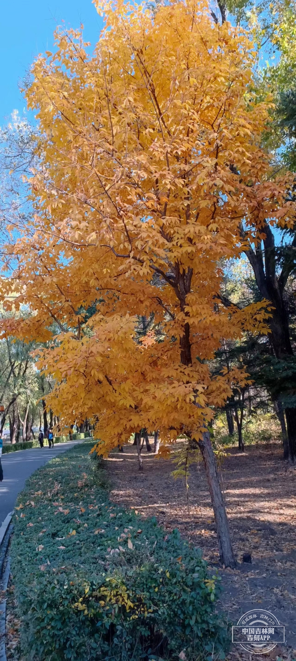 微信图片_20231023084322.jpg 微信图片_20231023084322.jpg