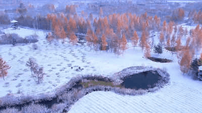 W020231020692839277439.gif W020231020692839277439.gif