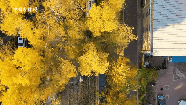 tutieshi_640x360_3s.gif tutieshi_640x360_3s.gif