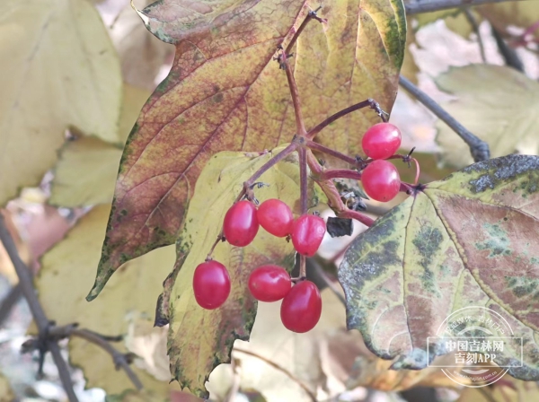 10.27.2.jpg 10.27.2.jpg